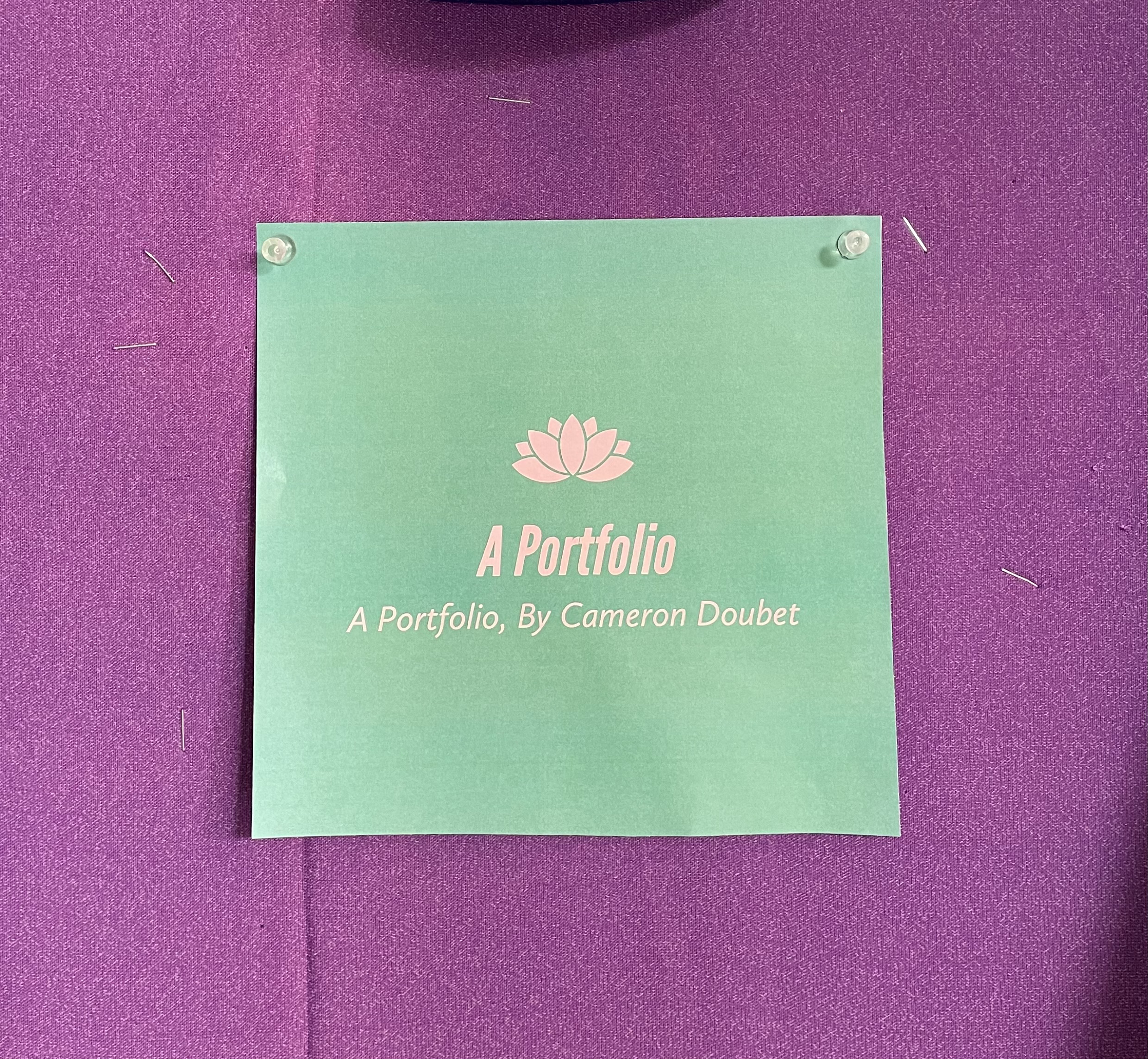 portfolio image 1